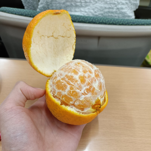 メンバー写真